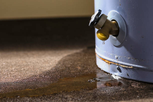 Best Water damage restoration insurance claims  in El Cenizo, TX