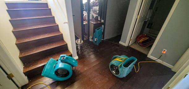 Best Commercial water damage restoration  in El Cenizo, TX