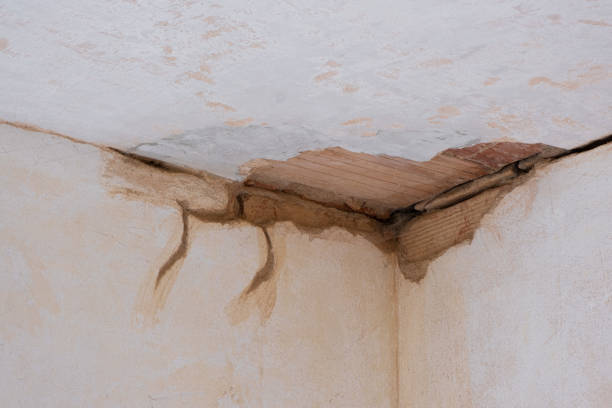 Best Carpet water damage restoration  in El Cenizo, TX