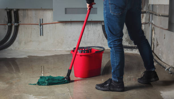 Best Flood damage cleanup  in El Cenizo, TX